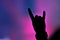 Hand doing rock sign at a rock concert