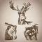 Hand draw animals forest vintage