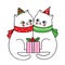 Hand draw cartoon cute Merry Christmas, Couple cats and gift boxes vector.