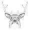 Hand draw deer portrait. Hand draw vector illustration