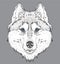 Hand draw husky portrait. Hand draw vector illustration