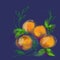 Hand draw illustration new year orange fruit