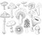 Hand Draw Mushroom Collections