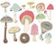 Hand Draw Mushroom Elements
