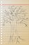Hand draw sketch, dead tree