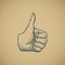 Hand draw sketch vintage thumbs up vector