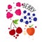 Hand draw vector berries set. Strawberry, cherry, blueberry in one collection, isolated on white background. Sweet tasty