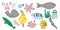 Hand draw vector set of different marina creatures: fish, starfish, jellyfish, seaweeds, coral, crab, shrimp, moray