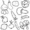 Hand draw of vegetable doodles