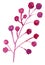 Hand draw watercolor brunch, berries, illusration, sketch, purple color, pink color, herbal ornament