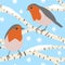 Hand drawin seamless pattern of wild robin bird on blue background. Red breat animal species with grey beige wings, cute