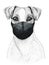 Hand drawing animal jack russell terrier dog wearing face medical mask. covid-19 protection coronavirus