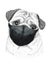 Hand drawing animal pug dog wearing face medical mask. covid-19 protection coronavirus