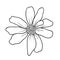 Hand drawing buttercup on white background. Daisy in sketch style. Springtime vector flower