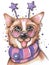 Hand drawing cartoon style children`s party birthday portrait cheerful dog corgi wearing glasses and stars