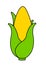 Hand Drawing Corn PNG Vegetable Icon Clipart with Black Line