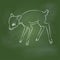 Hand drawing Deer Rat Cartoon on Green board -Vector