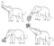 Hand drawing elephant set