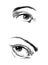 Hand drawing eyes on a white background.