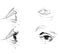 Hand drawing eyes on a white background.
