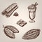 Hand drawing illustration of cacao beans, chocolate, cup of hot chocolate, cinnamon.