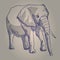 Hand drawing illustration elephant standing