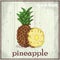 Hand drawing illustration of pineapple. Fresh fruit sketch background