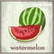 Hand drawing illustration of watermelon. Fresh fruit sketch background