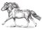 Hand drawing image pony galloping