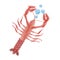 hand drawing lobster sealife top view bubbles