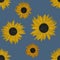 Hand drawing painted sunflowers seamless pattern on blue background. Utensil, cutlery, kitchen, packaging, tableware, cloth, wallp