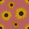 Hand drawing painted sunflowers seamless pattern on red background. Utensil, cutlery, kitchen, packaging, tableware, cloth, wallpa