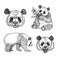 Hand drawing panda. Vector illustration in engraving style.