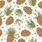 Hand drawing pine cones and pine nuts on white background.