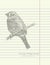 Hand drawing sketch bird vector