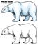 Hand drawing style of polar bear