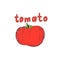 Hand-drawing tomato, raster illustration with ink