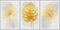 Hand drawing tropical luxury gold plant leaves- wall art vector set