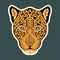 Hand drawn abstract portrait of a leopard/jaguar. Sticker. Vector stylized colorful illustration isolated on dark background