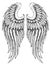 Hand drawn angel wings