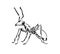Hand drawn ant insect, one pismire painted by ink, emmet sketch vector illustration, black isolated character on white background