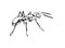 Hand drawn ant insect, outline pismire painted by ink, emmet sketch vector illustration, black isolated character on white