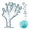 Hand drawn aquatic coral doodle vector illustration.