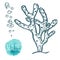 Hand drawn aquatic coral doodle vector illustration.