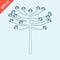 hand drawn araucaria tree design vector flat isolated illustration