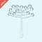 hand drawn araucaria tree design vector flat isolated illustration