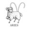 Hand drawn Aries. Zodiac symbol in vintage gravure or sketch style. Ram or mouflon animal standing and smiling.