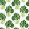 Hand drawn Asian greens pattern