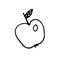 Hand drawn autumn doodle apple