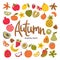 Hand-drawn autumn seasonal fruits background